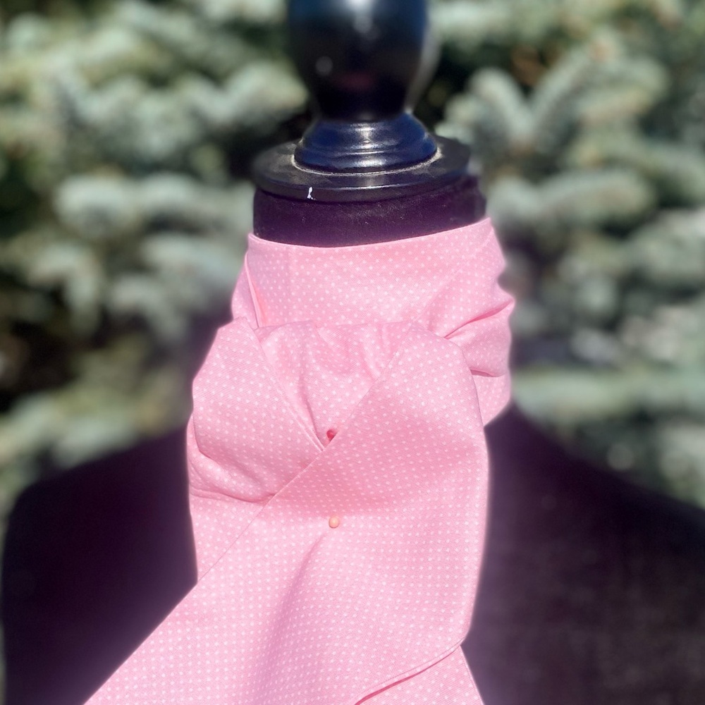 Equestrian Stock Tie Pink Polca baby dots